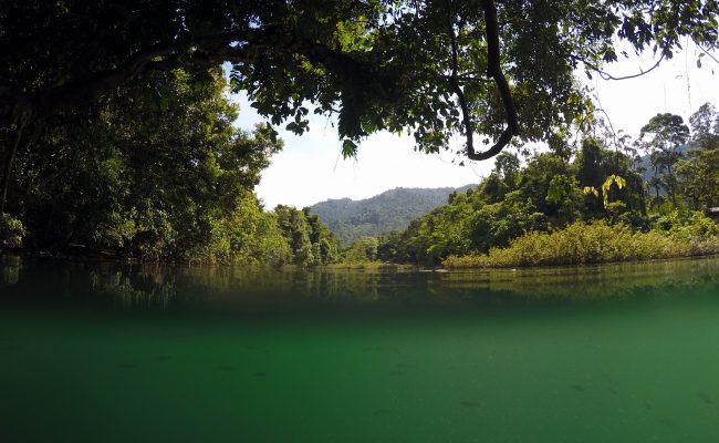 River life, Sumatera