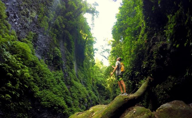 Waterfall kanyon