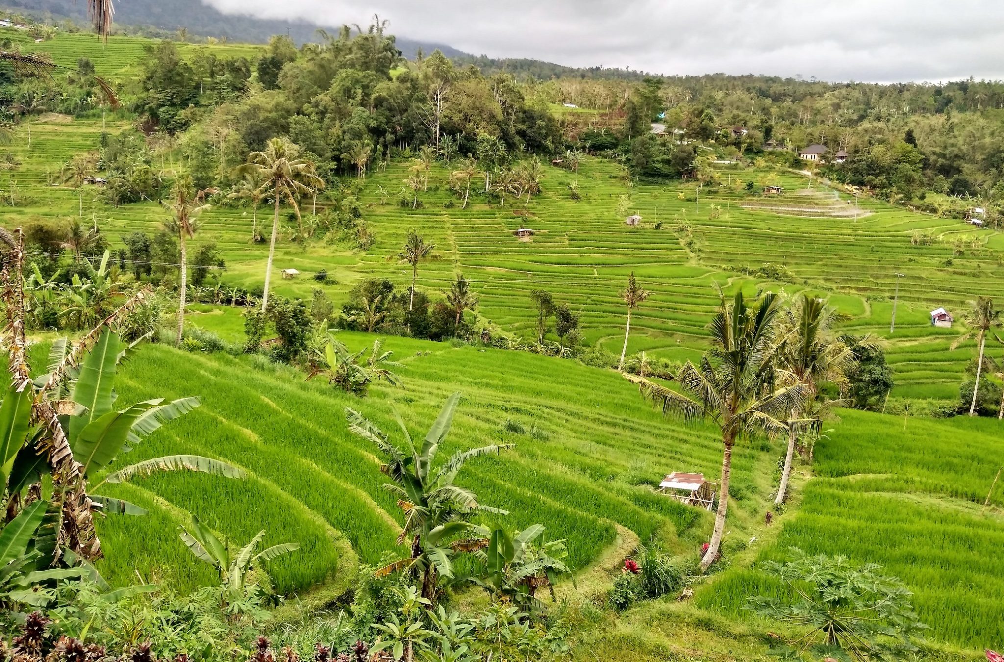 egzotyczne wakacje wycieczki personalne Indonezja Bali wakacjepersonalne.com